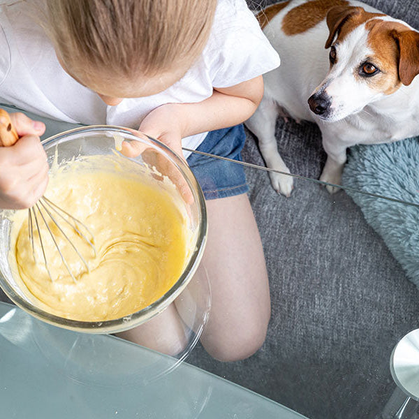 Glass Furniture Safety for Homes with Kids and Pets